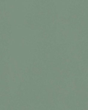 Обои Trace 97790 изображение 0