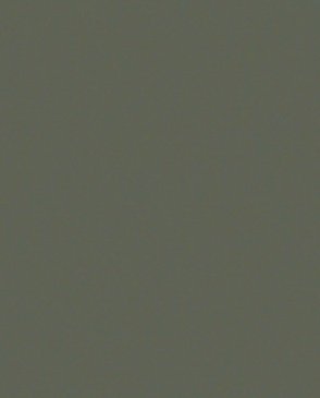 Обои – новинки Trace 97791 изображение 0