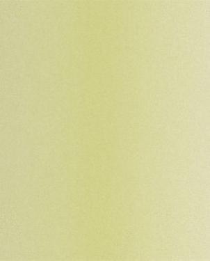 Обои Zoffany Town&Coutry 310843