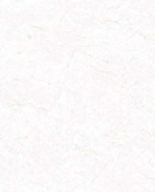 Обои Decoprint NV Era ER19020