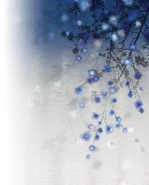 Обои Khroma Akina DGAKI506