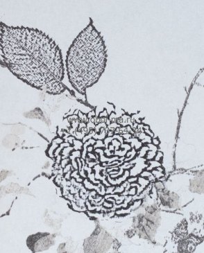 Обои Khroma Mankai MAN002