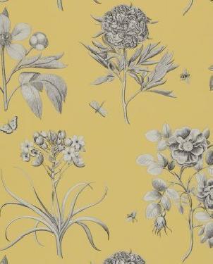 Обои Sanderson Classic Collection 2 Classic Collection 2 DCLAEC-104 изображение 0