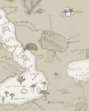 Обои Sanderson Voyage of Discovery Wallpapers Voyage of Discovery Wallpapers DVOY213365 изображение 0