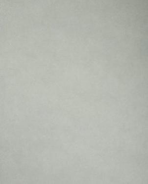 Обои Sanderson Parchment Flowers Parchment Flowers DPFWPP106 изображение 0