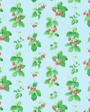 Обои Sanderson Vintage II Vintage II 214591 изображение 0