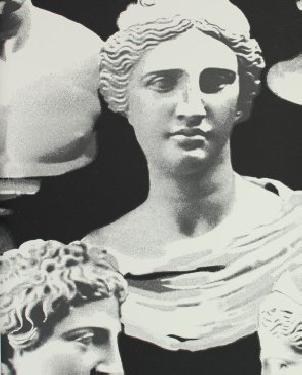 Обои Prestigious Textiles Icon 1963-905