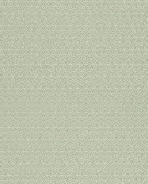 Обои Sanderson Classic Collection 2 Classic Collection 2 DCLAJA-106 изображение 0