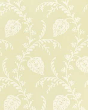 Обои Sanderson Classic Collection 2 Classic Collection 2 DCLAPH-107 изображение 0