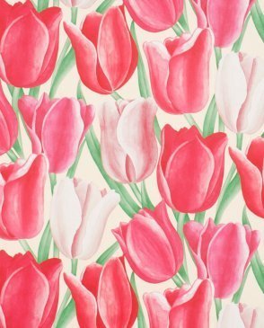 Обои Sanderson Vintage Vintage DVIWEA104 изображение 0