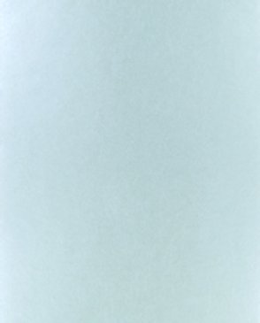 Обои Designers Guild Tsuga p502-22