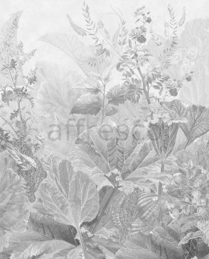 Фрески фотообои серые Atmosphere AF514-COL2 изображение 0