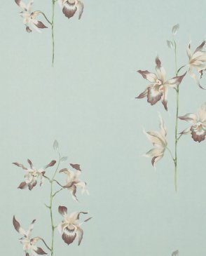 Обои Sanderson Classic Collection 2 Classic Collection 2 DCLAPO-103 изображение 0