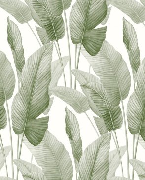 Американские Обои Bali Tropical AG60004 изображение 0