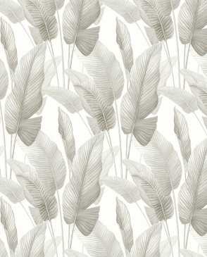 Американские Обои Bali Tropical AG60008 изображение 0