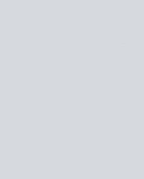 Обои Milassa Amsterdam Amsterdam AM3-001-1 изображение 0