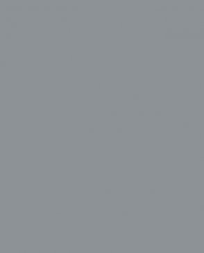 Обои Milassa Amsterdam Amsterdam AM3-008-1 изображение 0