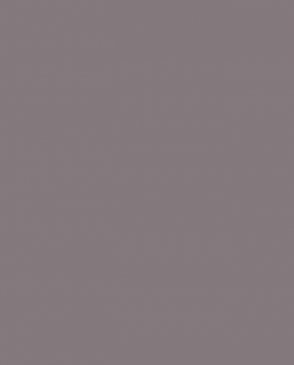 Обои Milassa Amsterdam Amsterdam AM3-012-1 изображение 0