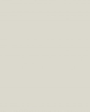 Обои с эффектом окрашеной стены Ambient vol.4 AM4-001-1 изображение 0