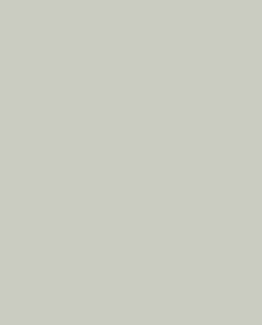 Обои Milassa Ambient vol.4 AM4-001-3