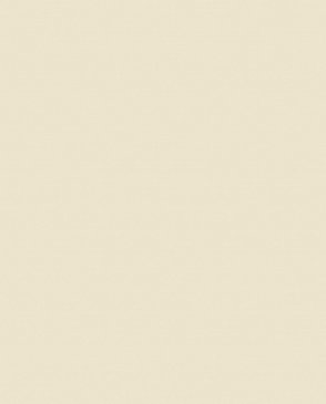 Обои с эффектом окрашеной стены Ambient vol.4 AM4-002 изображение 0