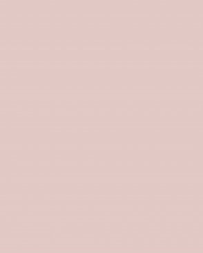 Обои розовые Ambient vol.4 AM4-003-2 изображение 0