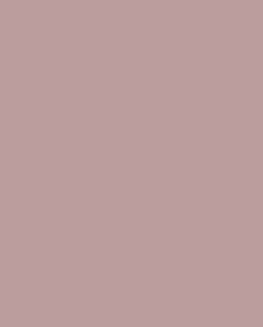 Обои розовые Ambient vol.4 AM4-003-3 изображение 0