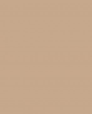 Обои оранжевые Ambient vol.4 AM4-004-1 изображение 0