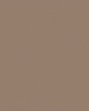 Обои коричневые Ambient vol.4 AM4-004-2 изображение 0