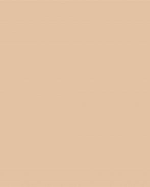 Обои оранжевые Ambient vol.4 AM4-004 изображение 0