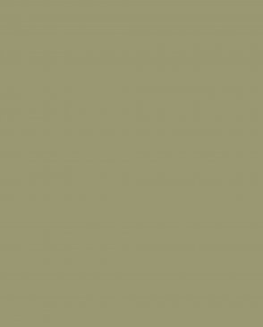 Обои зеленые Ambient vol.4 AM4-005-2 изображение 0