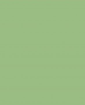 Обои зеленые Ambient vol.4 AM4-005 изображение 0