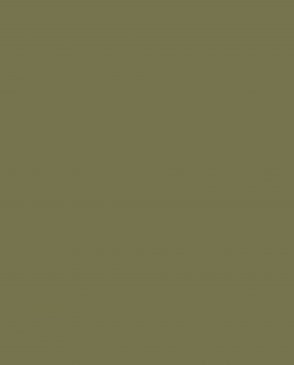 Обои зеленые Ambient vol.4 AM4-005-3 изображение 0