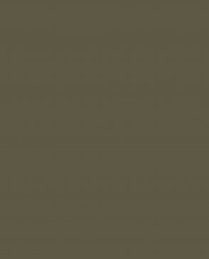 Обои коричневые Ambient vol.4 AM4-005-4 изображение 0