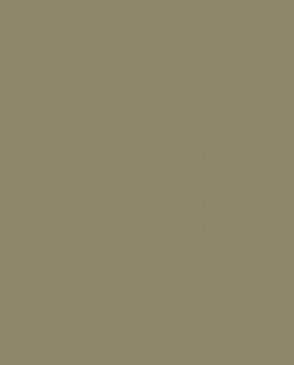 Обои коричневые Ambient vol.4 AM4-005-5 изображение 0