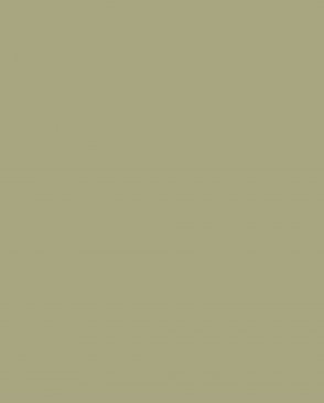 Обои зеленые Ambient vol.4 AM4-005-6 изображение 0