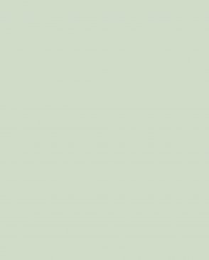 Обои зеленые Ambient vol.4 AM4-005-7 изображение 0