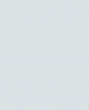 Обои с эффектом окрашеной стены Ambient vol.4 AM4-006-2 изображение 0