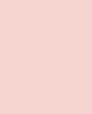 Обои розовые Ambient vol.4 AM4-007-1 изображение 0