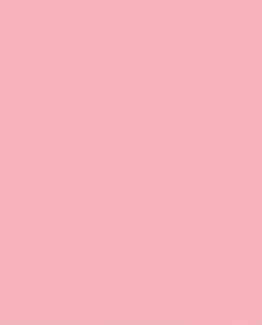 Обои розовые Ambient vol.4 AM4-007 изображение 0