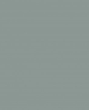 Обои зеленые Ambient vol.4 AM4-008-1 изображение 0