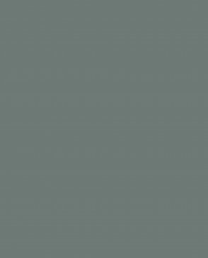 Обои зеленые Ambient vol.4 AM4-008-2 изображение 0