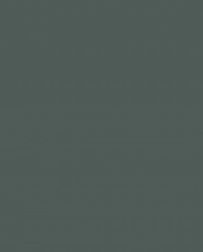 Обои зеленые Ambient vol.4 AM4-008-3 изображение 0