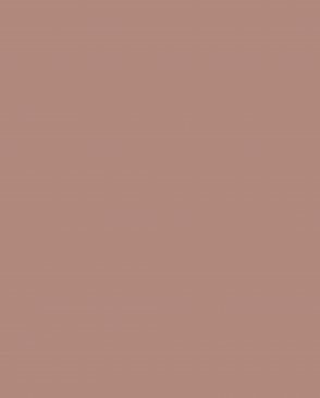 Обои коричневые Ambient vol.4 AM4-020-1 изображение 0