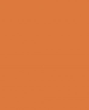 Обои оранжевые Ambient vol.4 AM4-020-3 изображение 0