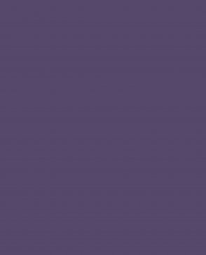 Обои фиолетовые Ambient vol.4 AM4-022 изображение 0