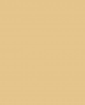 Обои желтые Ambient vol.4 AM4-102-1 изображение 0