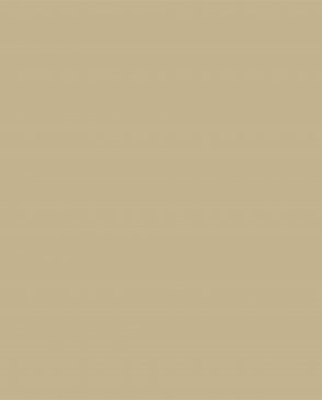 Обои с эффектом окрашеной стены Ambient vol.4 AM4-102-3 изображение 0