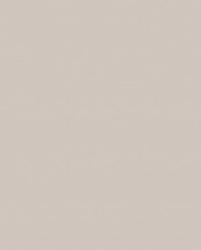 Обои Milassa Ambient vol.4 AM4-102-5 изображение 0