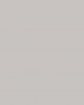 Обои Milassa Ambient vol.4 AM4-102-7 изображение 0